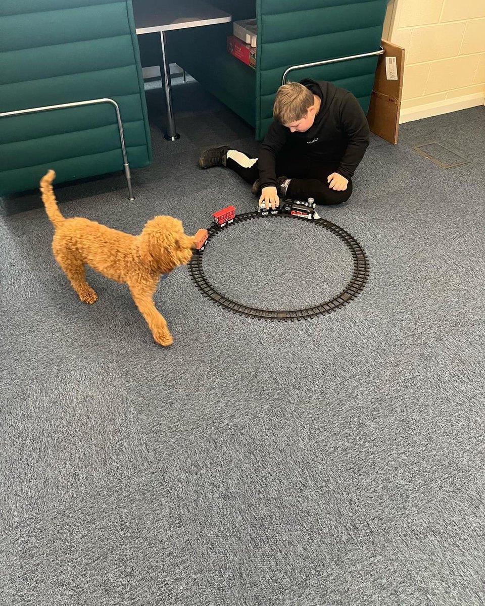 Our children are settling well into new routines, learning through practical child-led tasks to build them up to short-burst core lessons where we assess gaps quickly in order to individualise lesson planning. A great first 3 weeks for our new #AlternativeProvision #ThisisAP