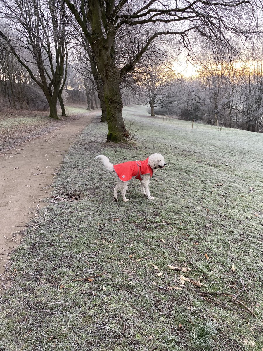 Graham mortimer (@flatcap116) on Twitter photo 