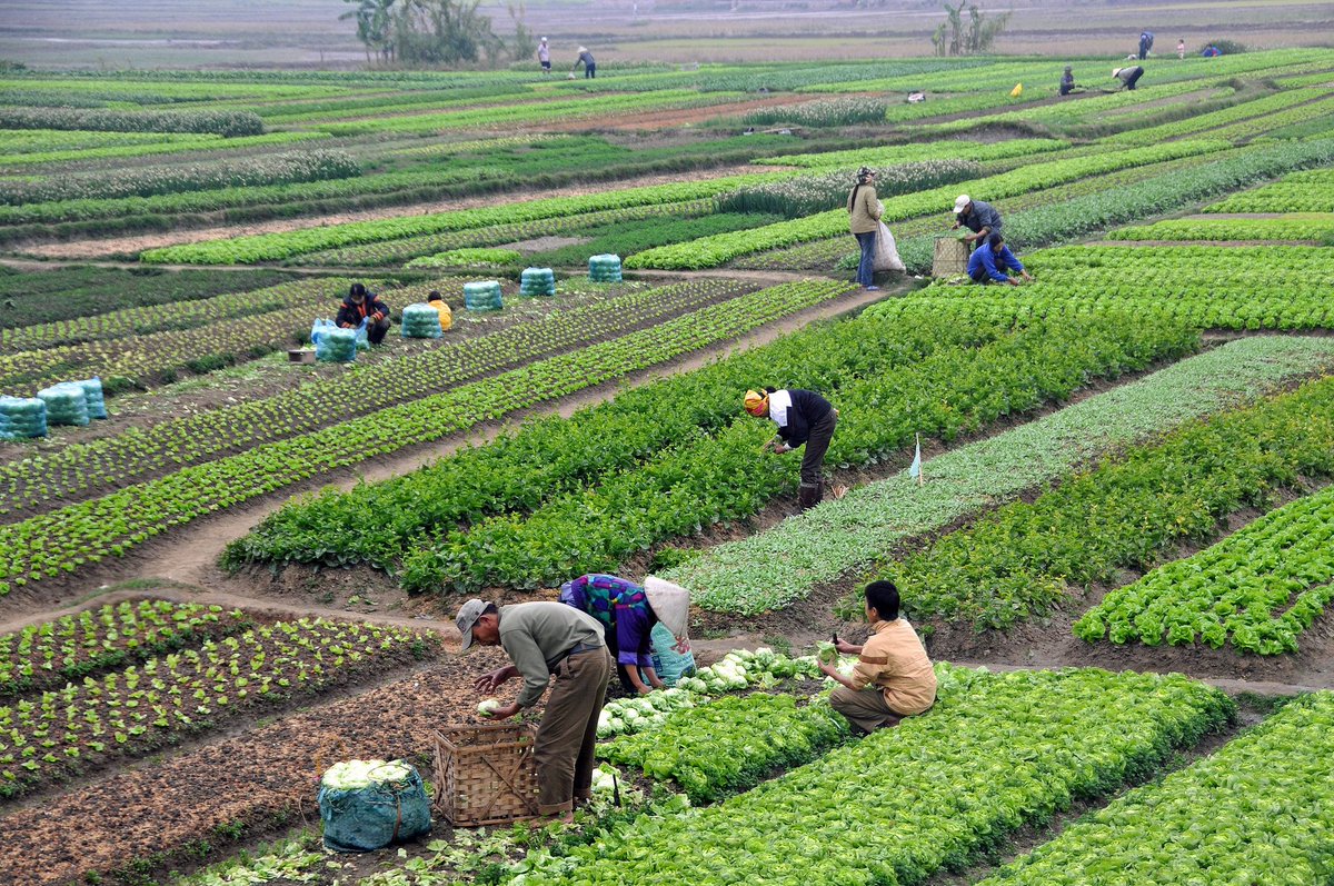 Farming drives progress. Agricultural systems are acknowledged for their unique potential to address global challenges. Food system actors can feed a growing population while supporting the fight against climate change and nature loss.

#worldeconomicforum #30x30challenge