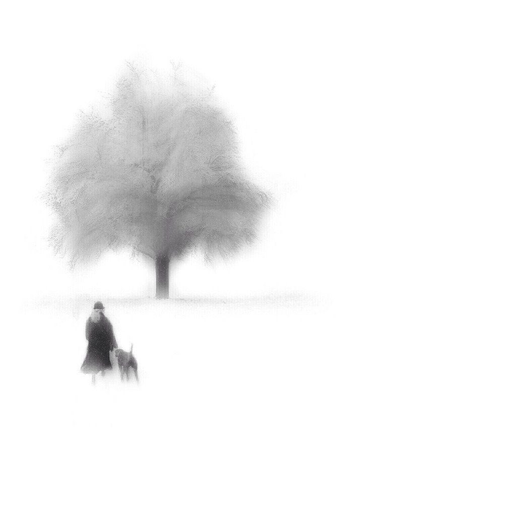 “I don’t want to end up simply having visited this world”

Mary Oliver

📷 Ana Markovic