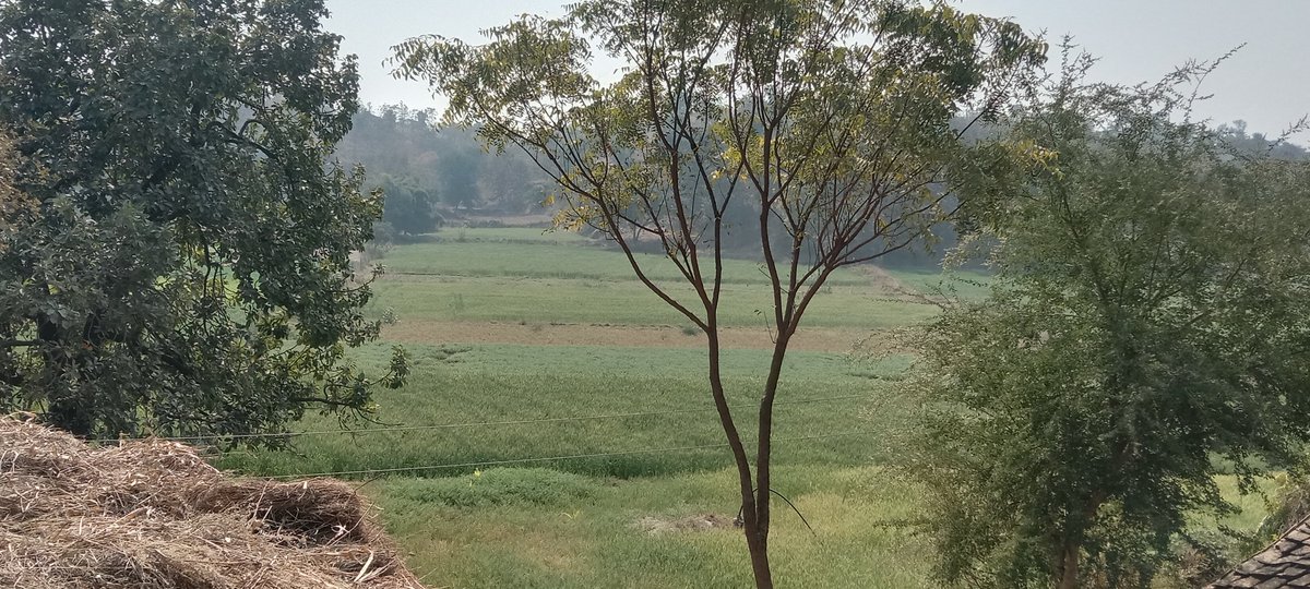 ગઈ કાલે રમાડ, મેઘરજ ચેકડેમ પર. પાણીનો એક સોર્સ કેટલી હરિયાળી, લોકોના જીવનમાં પરિવર્તન લાવી શકે તે જોયું. આ ચેકડેમ એમનેમ નથી બન્યો. ચેકડેમ માટે ગામલોકો સાથે પદયાત્રા કરવી પડી હતી.
આવાં ઠેર ઠેર થયેલા અનેક કામો જીવનના સાર્થક સંભારણા છે.
હવે બીજા ગામોને પણ ચેકડેમ જોઈએ છે.