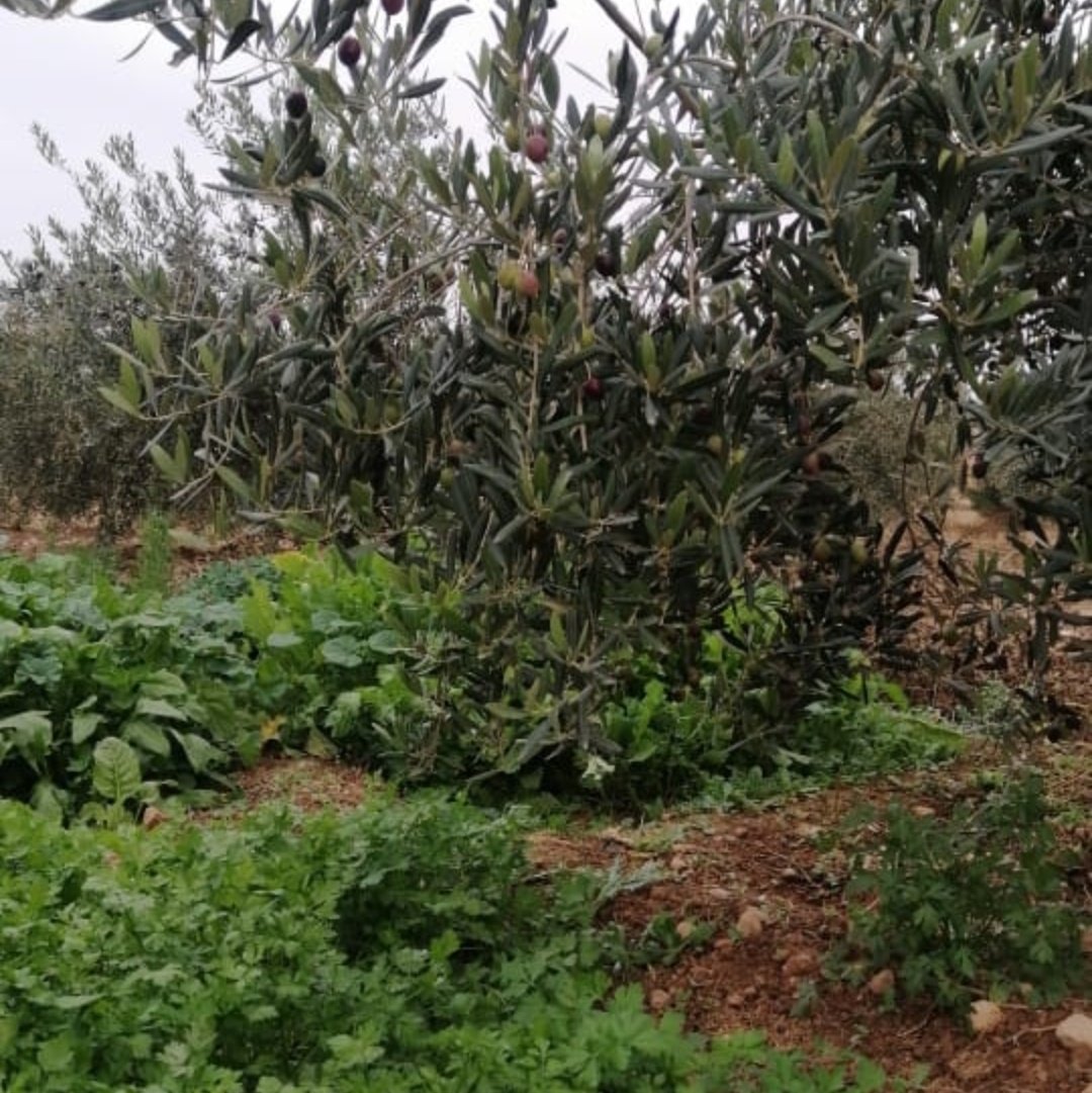 #صورة_ملف_شخصي_جديدة