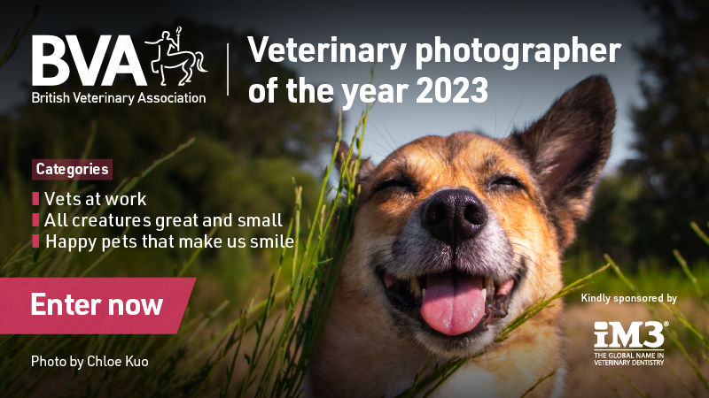 BritishVets's tweet photo. We're searching for the next BVA Veterinary Photographer of the Year - could it be you? 📸

If you're a BVA member, you can submit your photos in three categories. 

The deadline for submissions 12 March ➡️ https://t.co/IZ3aRKRYVC
@iM3vetdental #BVAPhotoComp https://t.co/Kk0q4BgZJn
