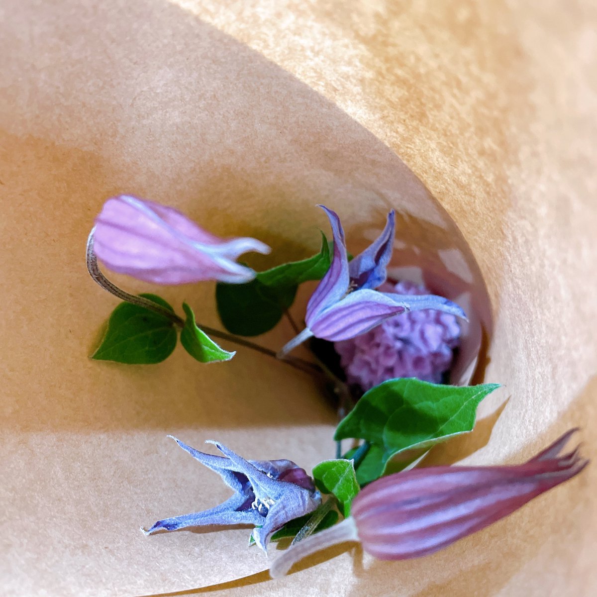 Aromariage2's tweet photo. 今日の赤坂蚤の市も無事終了しました！
寒い中お越しいただきました皆様、ありがとうございました🥰

自分へのお土産には、紫のクレマチスとヒヤシンスを。
家にあるピンクのフリルのチューリップと飾ろうと思って買ったら本当に可愛くて思わず、可愛いね💕と呟く。 https://t.co/hB0QlBWeYe