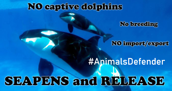 CagesFree's tweet photo. No captive #Dolphins 
No breeding
No import or export
Just #Seapens and release https://t.co/QCF6VMxhU0