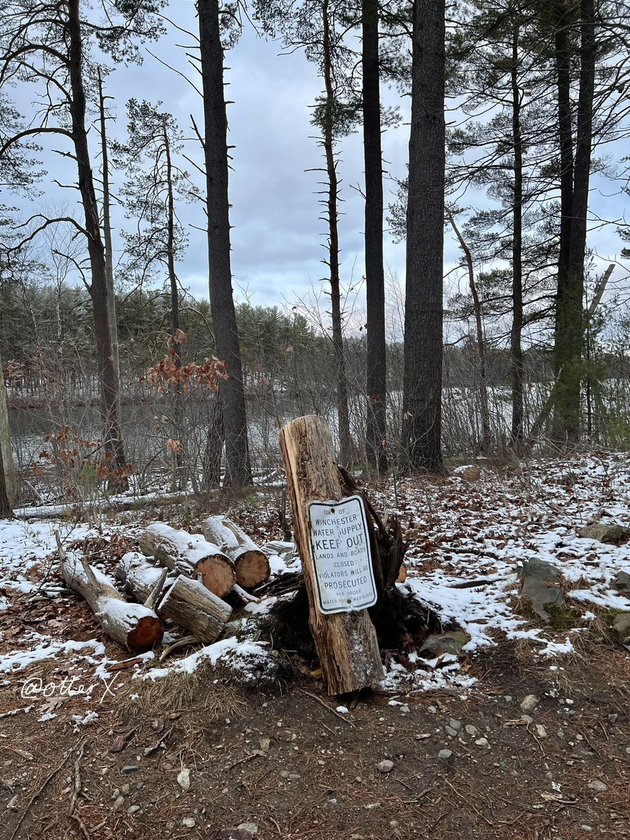 otterX's tweet photo. I love the Fells forest. The reservoir is peaceful because there’s no motor boats! How fortunate this place exists. Then again, we all need clean water.
#MiddlesexFells #reservoir #forest 🌲🌳🌲🌳🌴🍂🍁 https://t.co/uDv7OQN5BJ