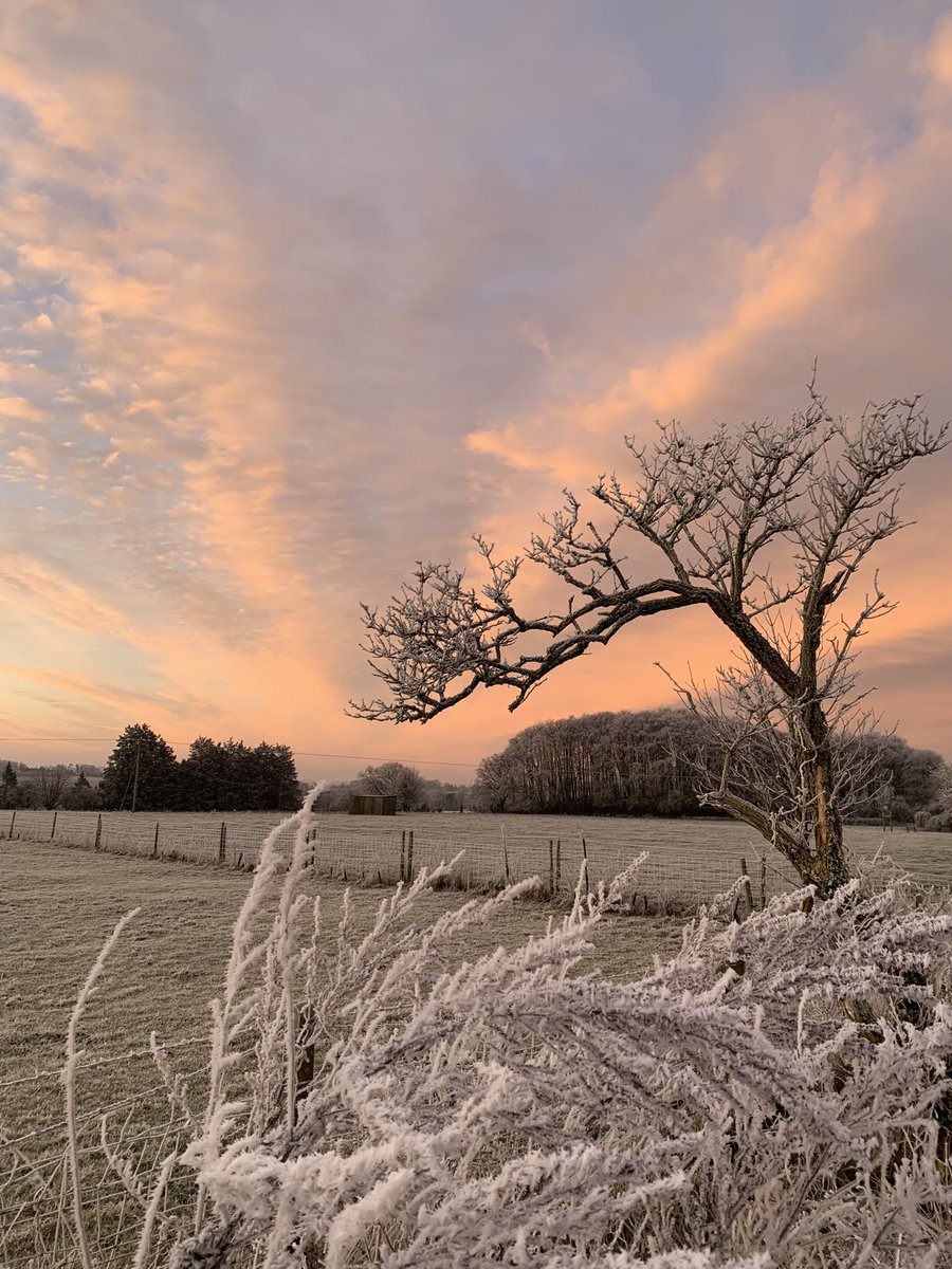 PaulShipway's tweet photo. Stunning this morning for day 22 of #75Hard. Feels great wanting to jump up and get out early on a Sunday morning. #nofilterneeded #Wiltshire #coldweather https://t.co/KsNSU0VIzf