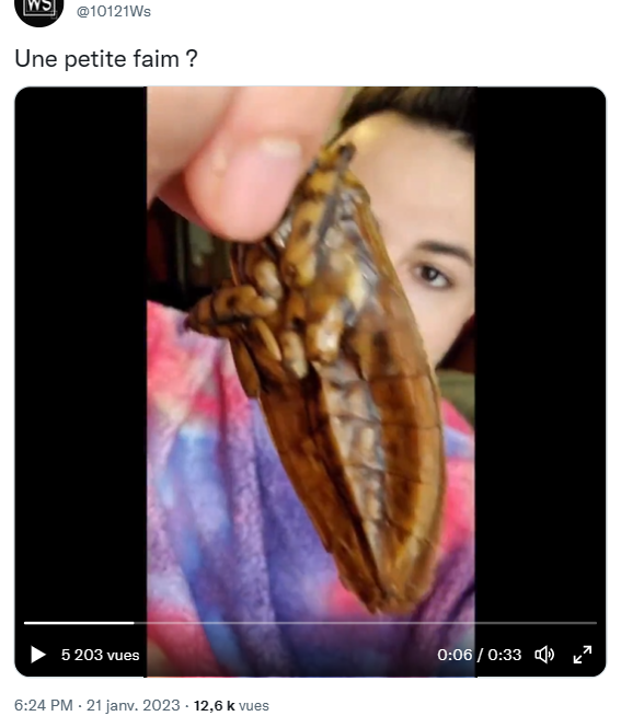 EliaFromParis's tweet photo. #СOCKROACH FOR #BREAKFAST - #SCHWAB:
🪳🪳🪳
#Insects contain #chitin,which is not absorbed by
our #intestines.In +,chitin is a powerful
#polysaccharide that promotes the development of
#cancer cells/#fungi/#parasites/serious #diseases
(#requiring long/#expensive #treatment). https://t.co/iH0CoLNjih