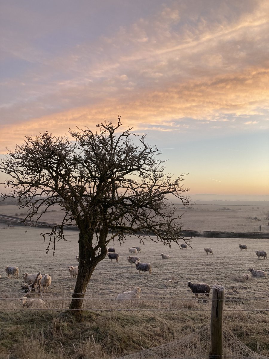 Helen Iveson tweet media