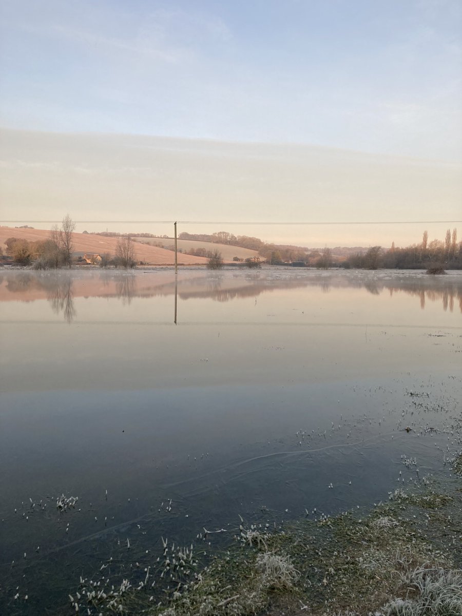 Helen Iveson tweet media