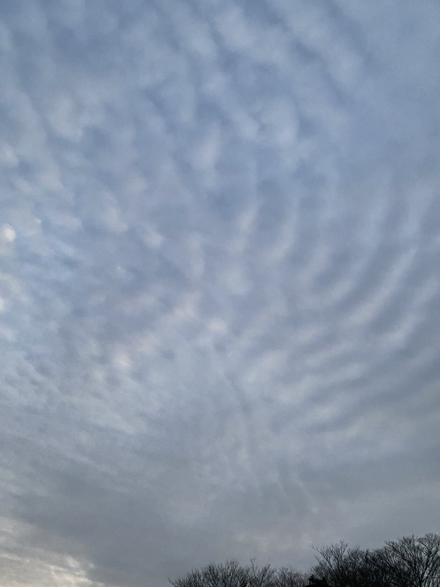 pipikellyme1's tweet image. Both the bird and I were wowed by the sound of the UFO #flyingobject 202... youtube.com/shorts/wA2Vx1b… @YouTubeより✨