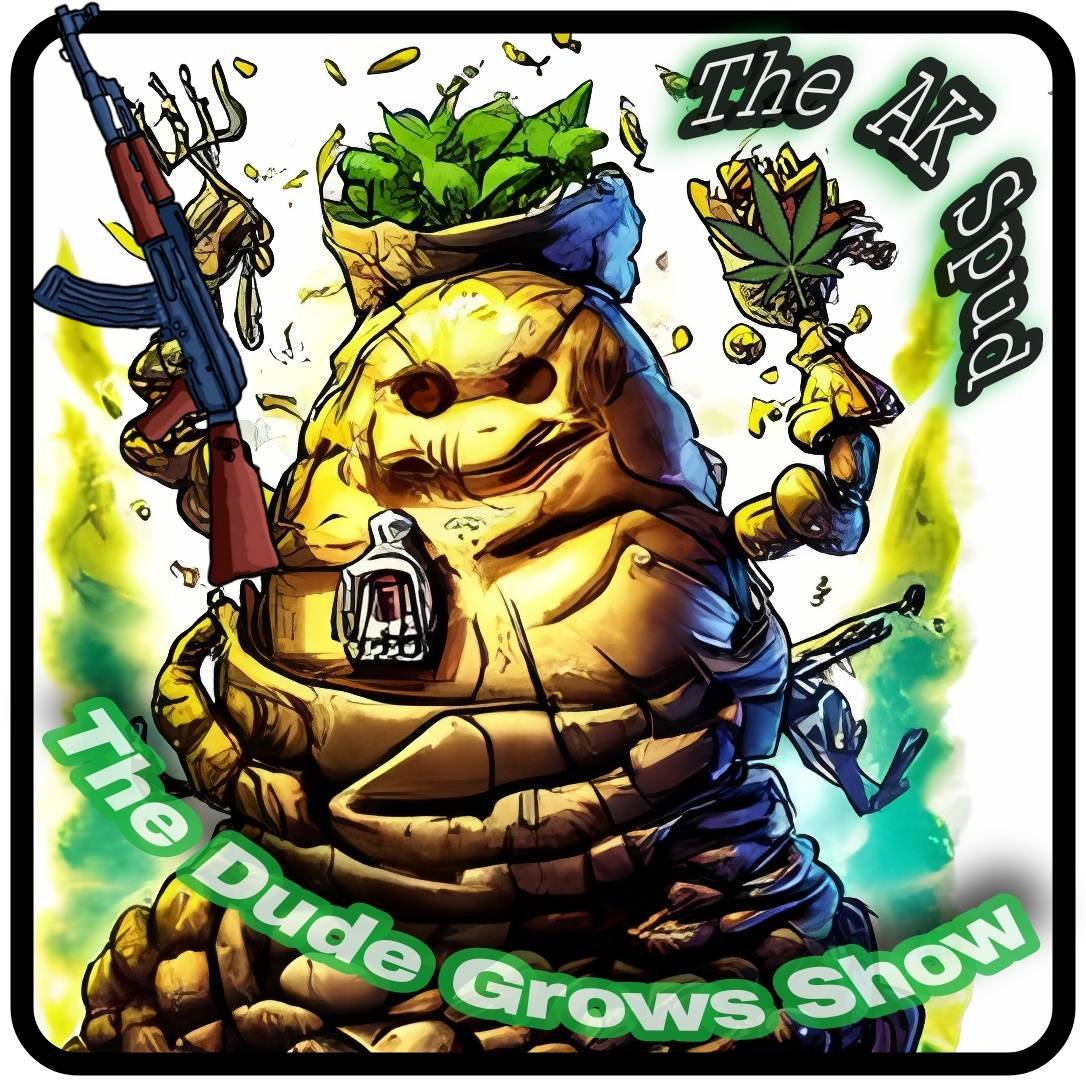 The Dude Grows Show tweet media
