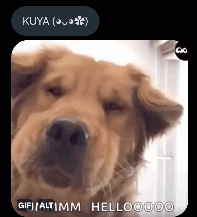 ⠀⠀
⠀⠀
『   JACHIN.⠀』
⠀⠀there's a cutie here in my dms, huhu miks miks my babie 🥺
⠀⠀
⠀