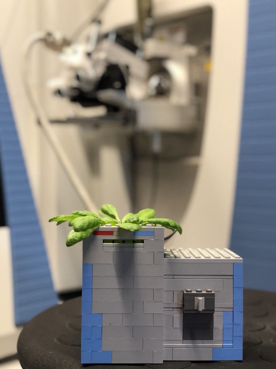 Finkemeier lab (@ifink_lab) on Twitter photo Two PhD positions available <a href="/IFink_lab/">Finkemeier lab</a> @WWU_Muenster on plant PTMs and acclimation responses in organelles involving a lot of protein mass spectrometry, molecular biology, biochemistry and plant physiology in Arabidopsis! Please RT! uni-muenster.de/Rektorat/Stell… Two PhD positions available <a href="/IFink_lab/">Finkemeier lab</a> @WWU_Muenster on plant PTMs and acclimation responses in organelles involving a lot of protein mass spectrometry, molecular biology, biochemistry and plant physiology in Arabidopsis! Please RT! uni-muenster.de/Rektorat/Stell…