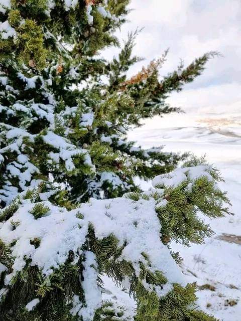 foufa_mtk's tweet photo. 💚⛄❄ https://t.co/jl7CJ8VqAL