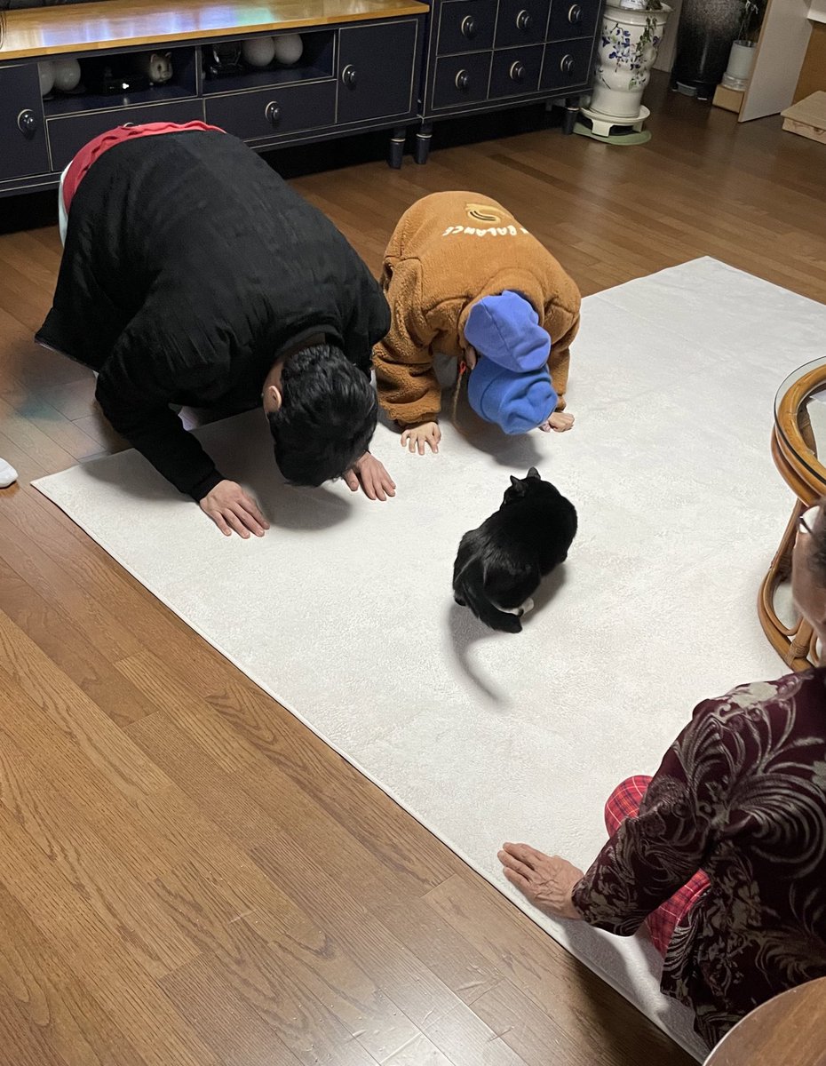 _Choonshim's tweet photo. 새배 인터셉트 https://t.co/ni2o6kqsZu