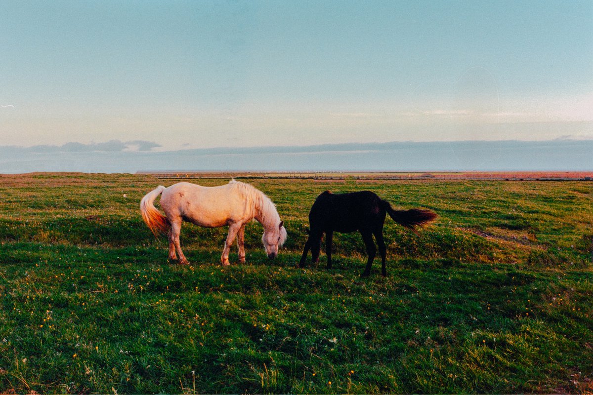 Summer in Iceland