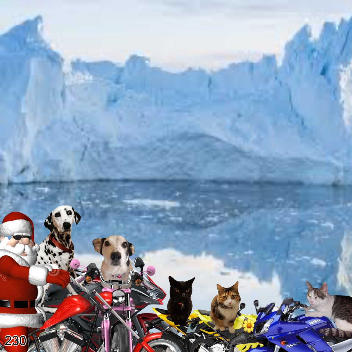 LJ_doodle's tweet photo. Want to have fun? Make friends! See the world? Join the Ruff Riderz!!  @theruffriderz @theruffriderz https://t.co/u22kOMQ362