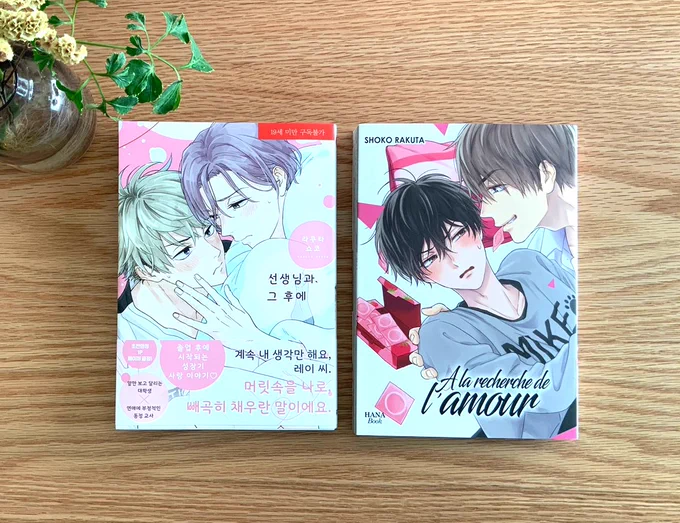 『ただれた恋にはいたしません!』と『先生と、それから』の翻訳版をいただきました😚海の向こうでも楽しんでいただけますように! 