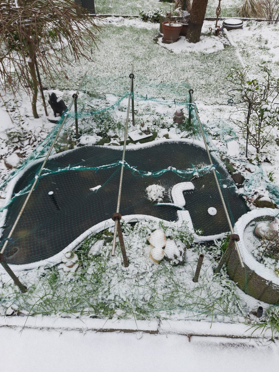 Leicht winterliche Impressionen aus dem Garten 🌨🌨.