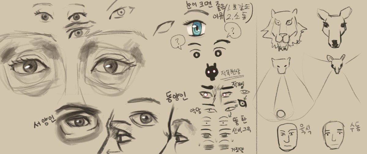 Odolgae (오돌개) tweet media