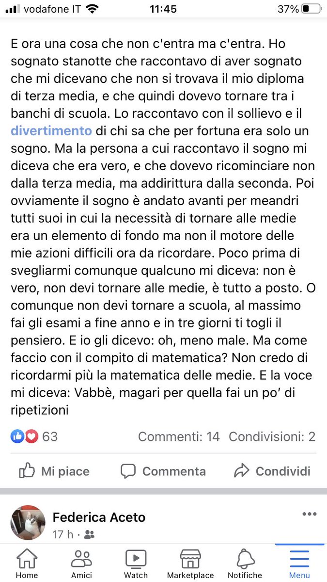 Federica Aceto tweet media