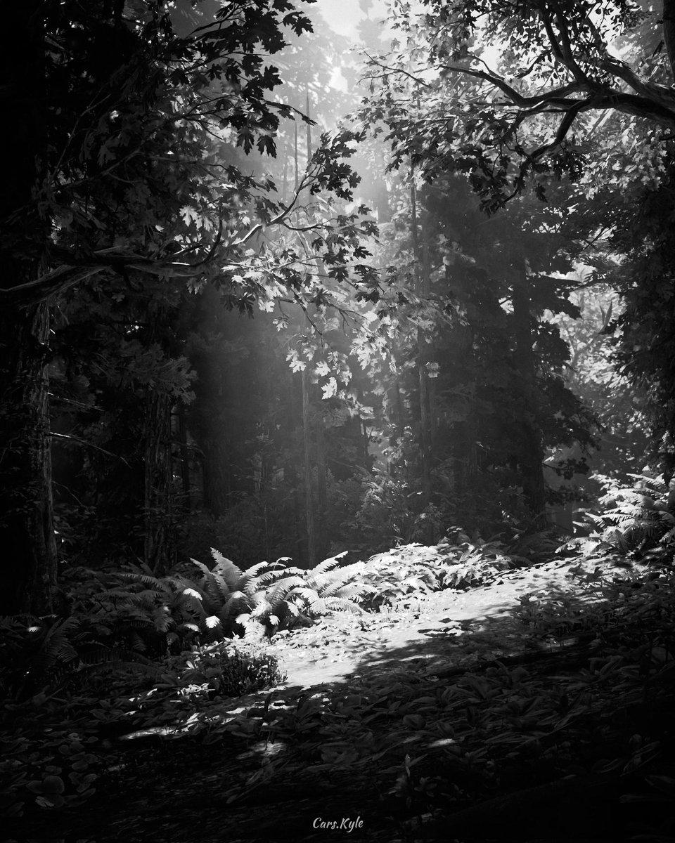 #TheLastOfUs #VirtualPhotography