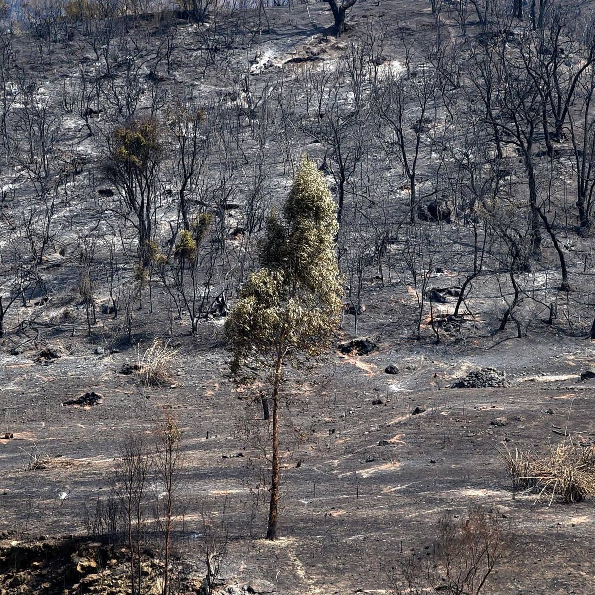 _naool's tweet image. ~

لا تستغرب إن وجدت الشّر في المكان الذي غرست فيه الخير ، فهُناك أراضِ لا تصلح للزراعة .
~