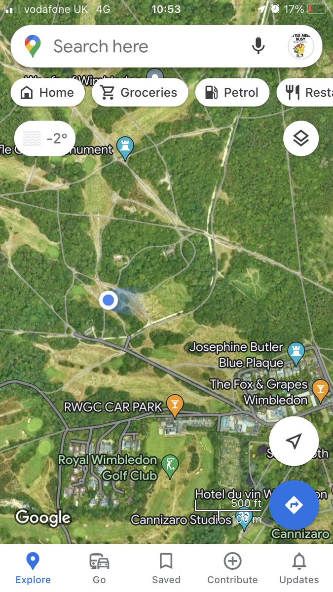 Chirpy_Chick's tweet image. Black / dark brown cockapoo dog wandering around @WimbledonCommon tail down looking scared and alone. Lost #WimbledonCommon I couldn’t catch but last seen here at blue dot