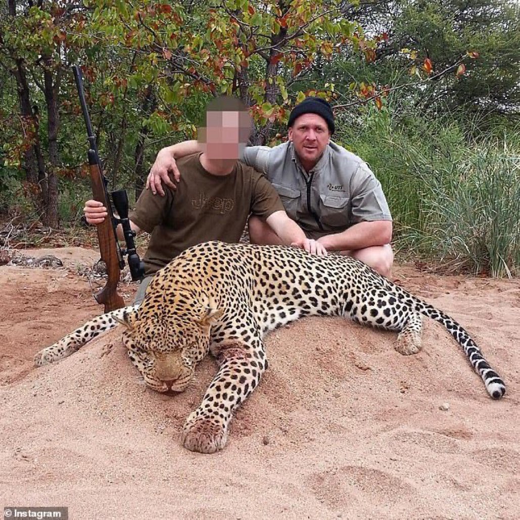 fargosi's tweet image. El incomprensible placer de matar animales que no son plagas, no te atacaron ni te hacen daño si no los agredís.

Debería estar prohibido hace mucho, pero sigue siendo legal.