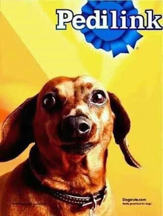 SAMUEL HODECKER on Twitter: "@itsthatgustavo https://t.co/C2OvaSAjan