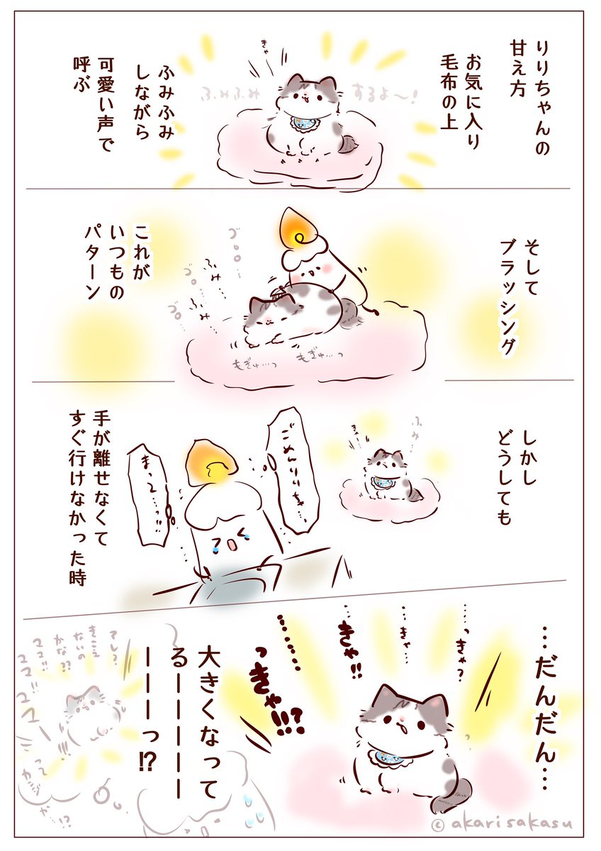 りりちゃんの催促🐈🐾

 #note https://t.co/Wg7dsvriyU

#愛猫りりぽぽ日記 
#猫のいる暮らし 