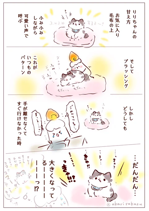 りりちゃんの催促 #note 愛猫りりぽぽ日記 #猫のいる暮らし 