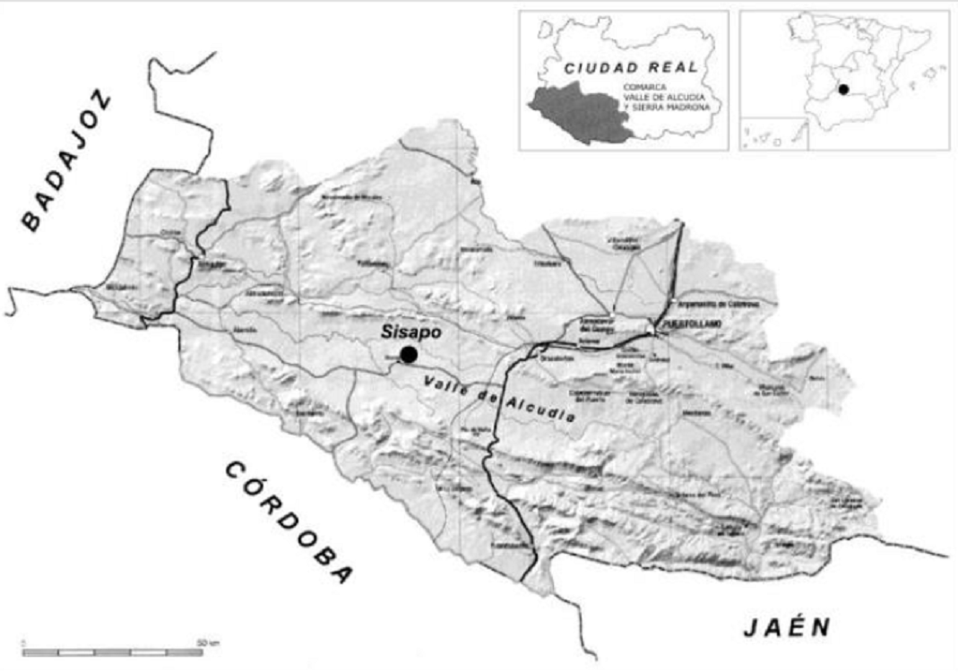 CDorado75's tweet photo. Sisapo fue la capital de los distritos mineros de Almadén y Alcudia en la vertiente norte de Sierra Morena, donde se obtenía plata, plomo y cinabrio.
La época prerromana abarca del s. VIII al III a.C., primero con una fase tartésica y luego iberizante, mediante un oppidum oretano https://t.co/PWCgUP0Iqq