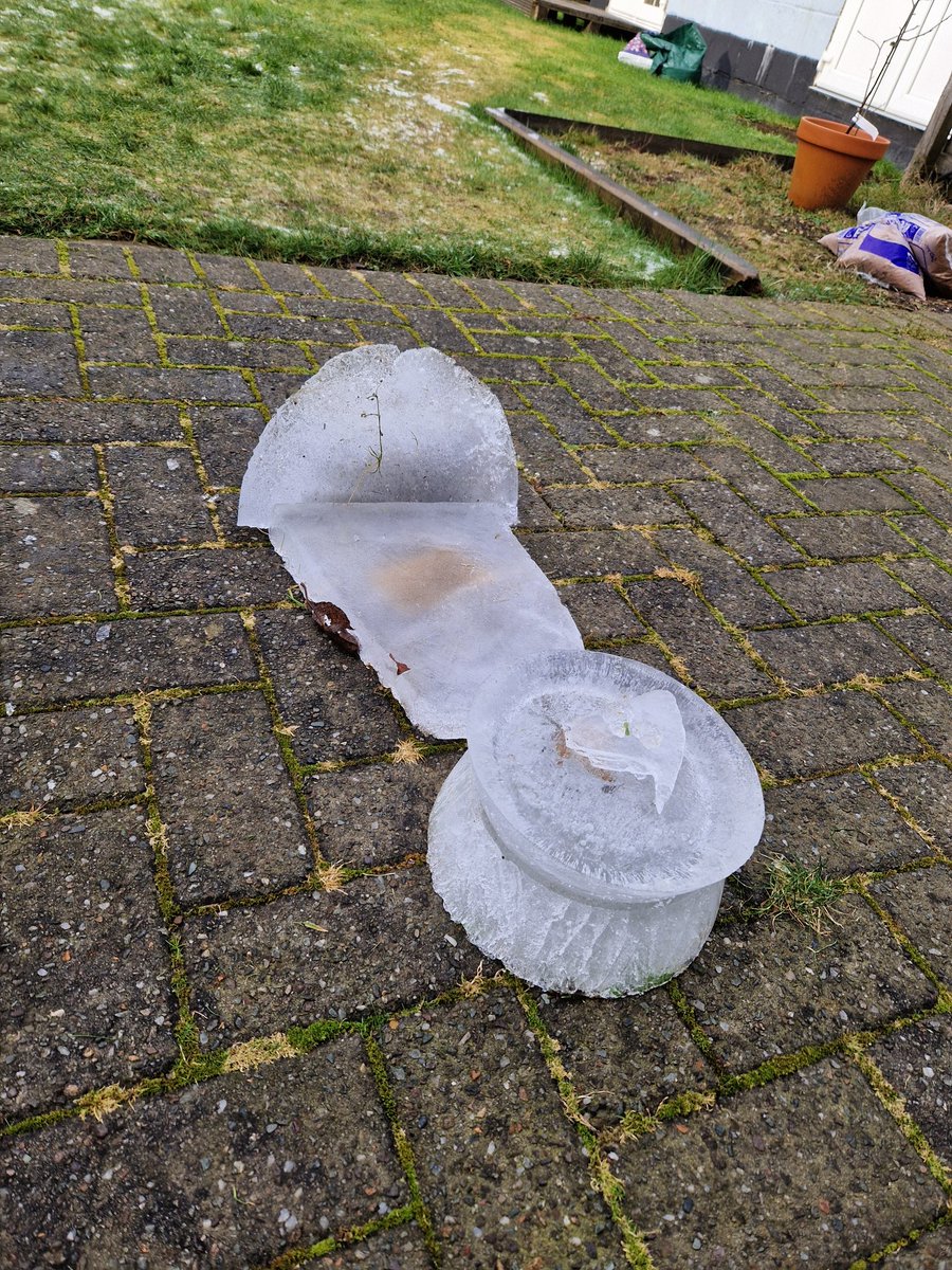 danniibarr's tweet photo. E decided to make his own ice restaurant yesterday after finding large pieces of ice in the garden @BPSMissCanning @BonnybridgePS @KilpatrickDonna @MissC_HT @BPSMrsCowie https://t.co/PZh20VuQOq