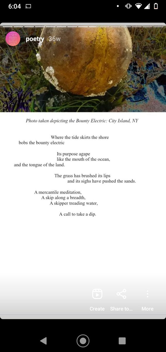 'The Bounty Electric ⚡'
#poem #poetry #cityisland #bronx #ocean #creative #writer