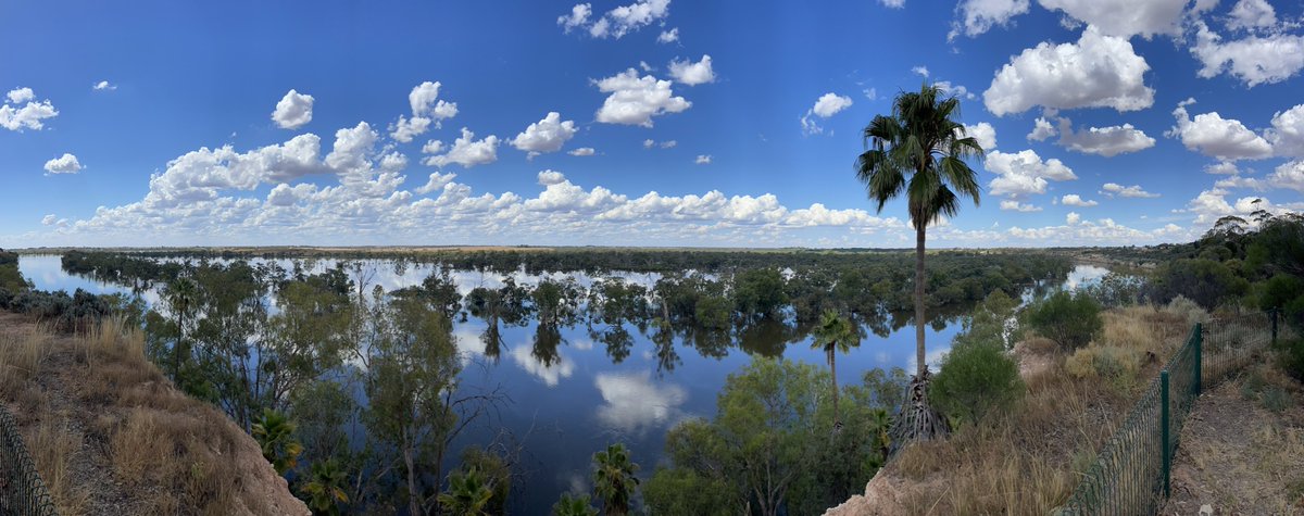 Scott Stringer tweet media