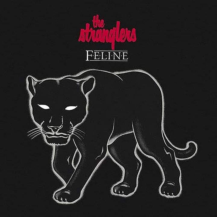 Album 'FELINE' Released 22.1.1983 by #thestranglers #HughCornwell #JeanJacquesBurnel #JetBlack #davegreenfield #punkrock #postpunk #newwave