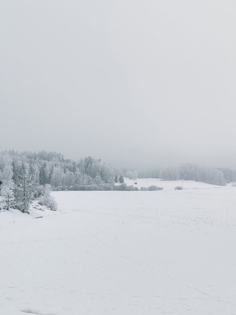 Ylös, ulos ja lenkille! Kyllä Suomen talvi tarjoaa nyt parastaan. 🤍