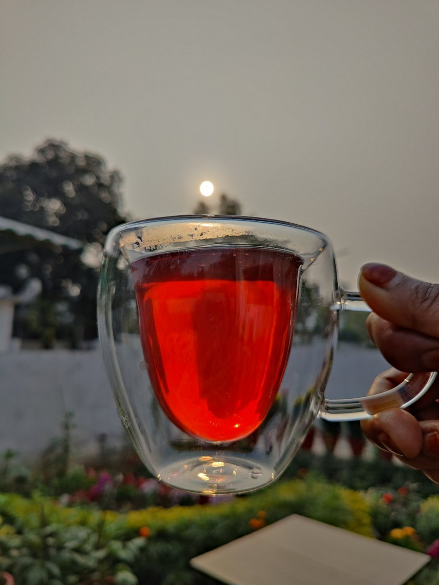 Uzmaseasyrecipe's tweet image. Hibiscus Tea 🌺
Beautifully captured 📸
#hibiscustea #tea #beautifulshot #beautiful #beautifulview #masterchefindia #foodphotography #uzmaseasyrecipes