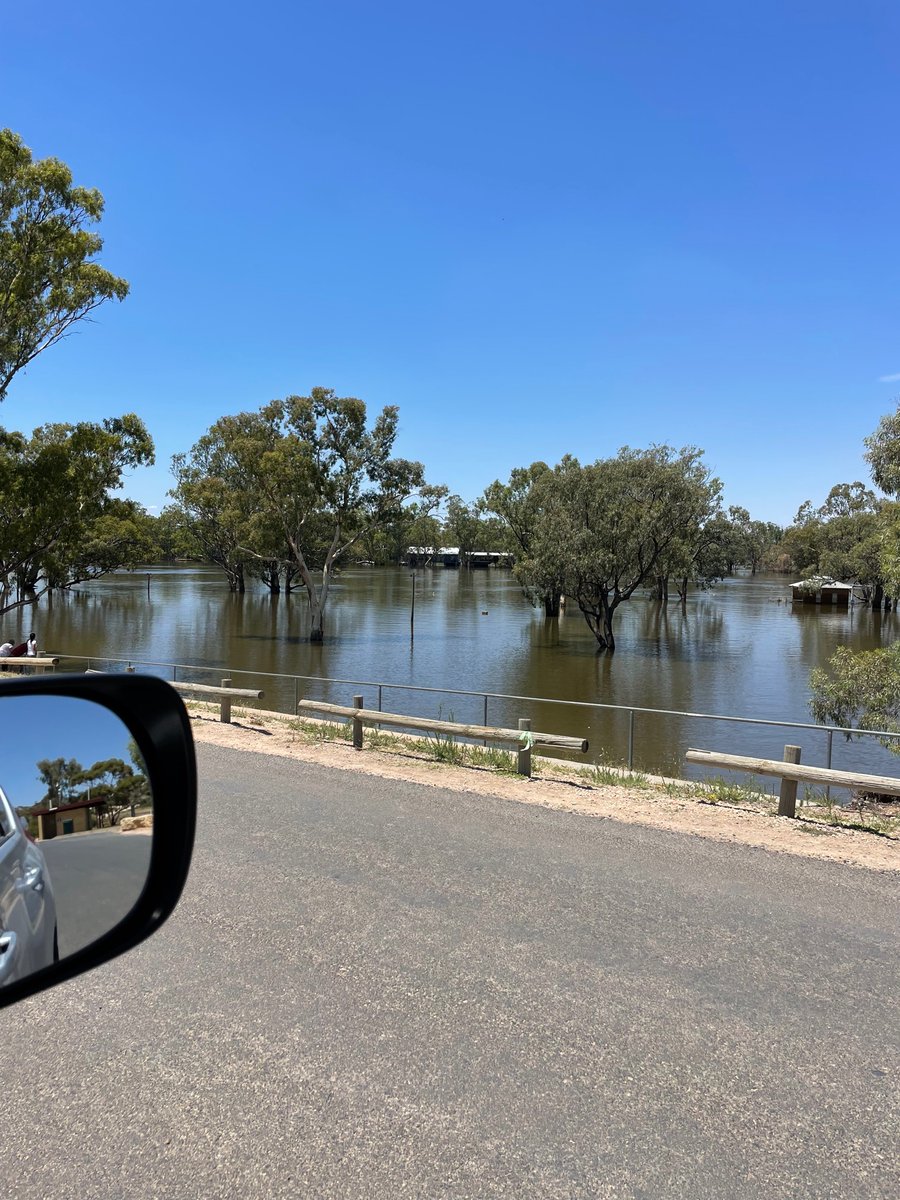 Scott Stringer tweet media
