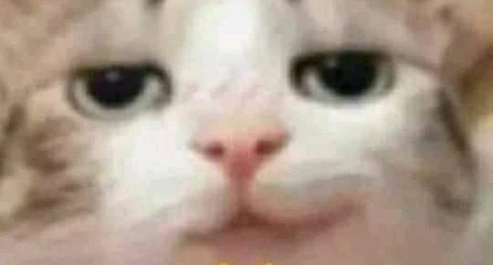ChocoWizardYT's tweet photo. @vivvinmishra https://t.co/pQ3nTB498x