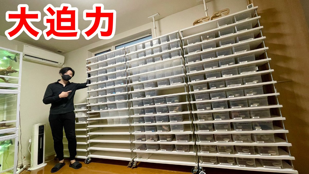 aririn_leopa's tweet photo. ▼YouTube更新
ついにペット部屋に新ブリーダーラック達が導入されました。
https://t.co/fWXbdLPnhH
フォロー&RTでRAFchステッカー当たります🤲
本日も宜しくお願いします!
#RAFちゃんねる https://t.co/5QDyOZkbTm
