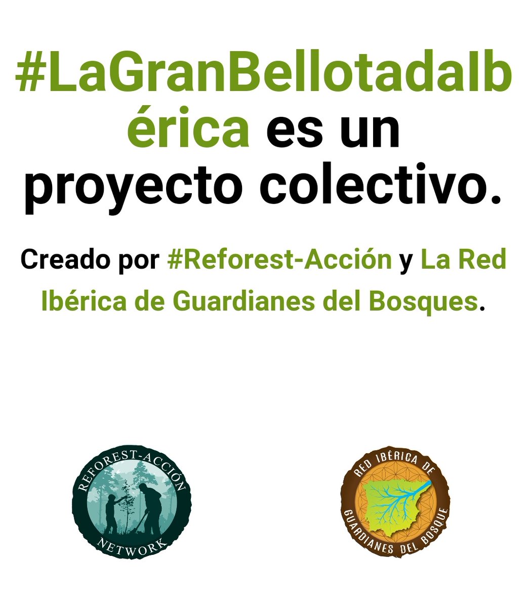 AMAE_SBC's tweet photo. 📲 Vamos a compartir una #GuíaBellotera, cortesía de Reforest-acción network >
Podréis encontrar información en https://t.co/CBo7ckTSGn
⬇️
#EducaciónAmbiental #Bellotada #MedioAmbiente https://t.co/sdC6n1nu6u