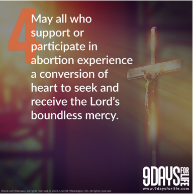 diospringfield's tweet photo. God, we pray today for those who support or participate in abortion that they have a conversion of heart to seek and receive Your boundless mercy. 

Our Father, Hail Mary, Glory Be, Amen.

Learn more about Project Rachel at https://t.co/IEPjvPVIHx

#9daysforlife #prolife #novena https://t.co/bK3Yh6T9Mv