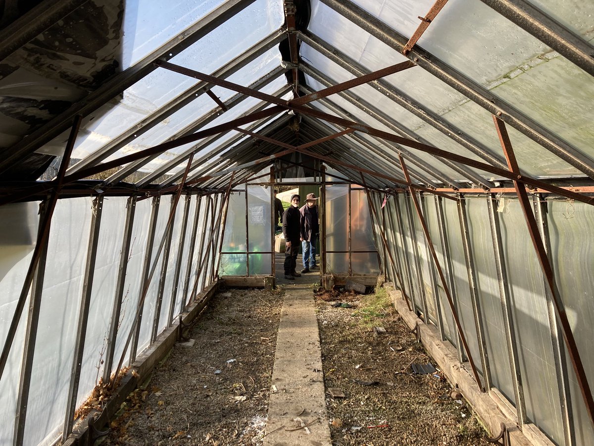 Holly Mount Orchard tweet media