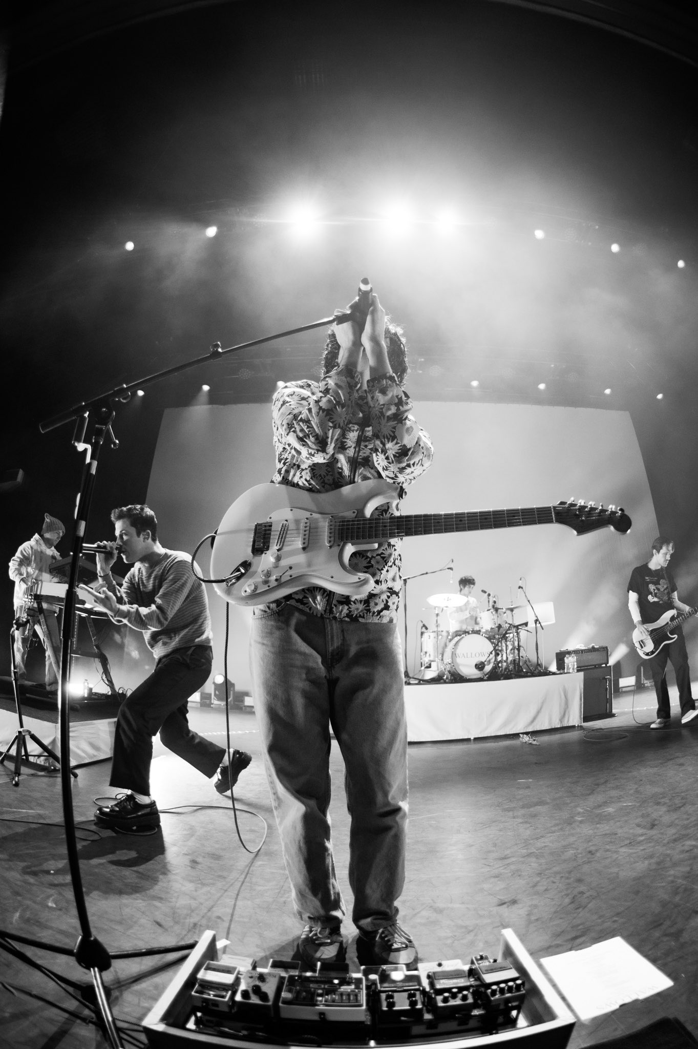 Wallows (@wallowsmusic) / Twitter