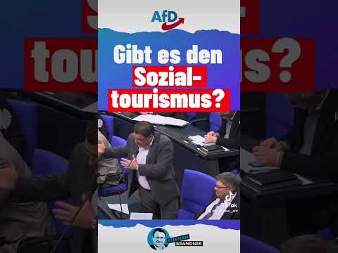 Gibt es den #Sozialtourismus? #Brandnerfragtnach #afd #brandner #stephanbrandner | AfDay
afday.de/2023/01/22/gib…