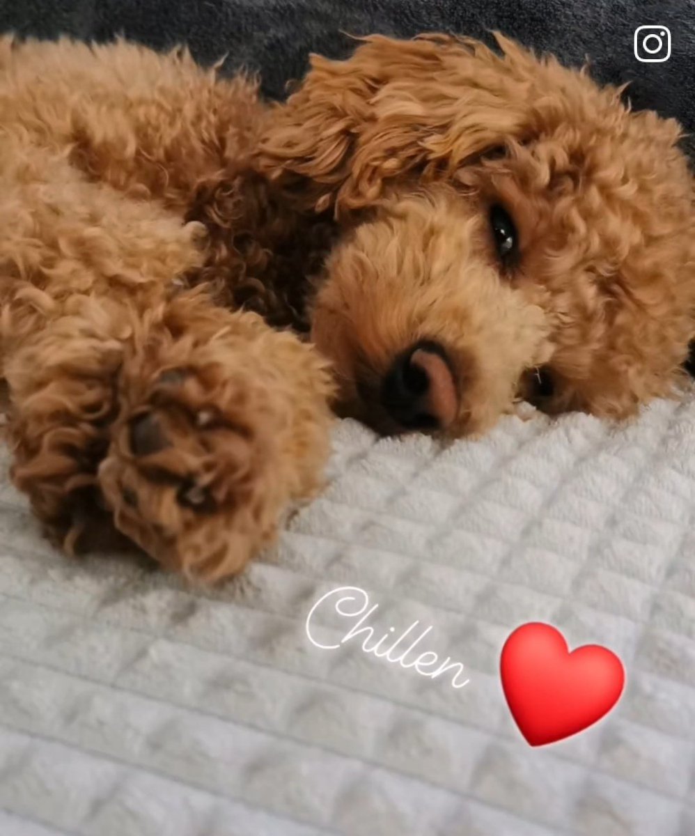 Mein Bester Freund unendliche Liebe 💞❤️🥰