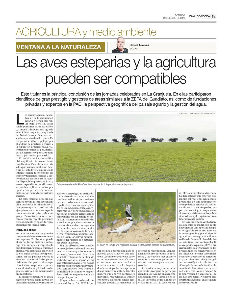 Las aves esteparias y la agricultura pueden y deben ser compatibles. Un interesante artículo de Rafael Arenas que recoge algunas de las principales conclusiones de las Jornadas sobre aves esteparias celebradas en La Granjuela.